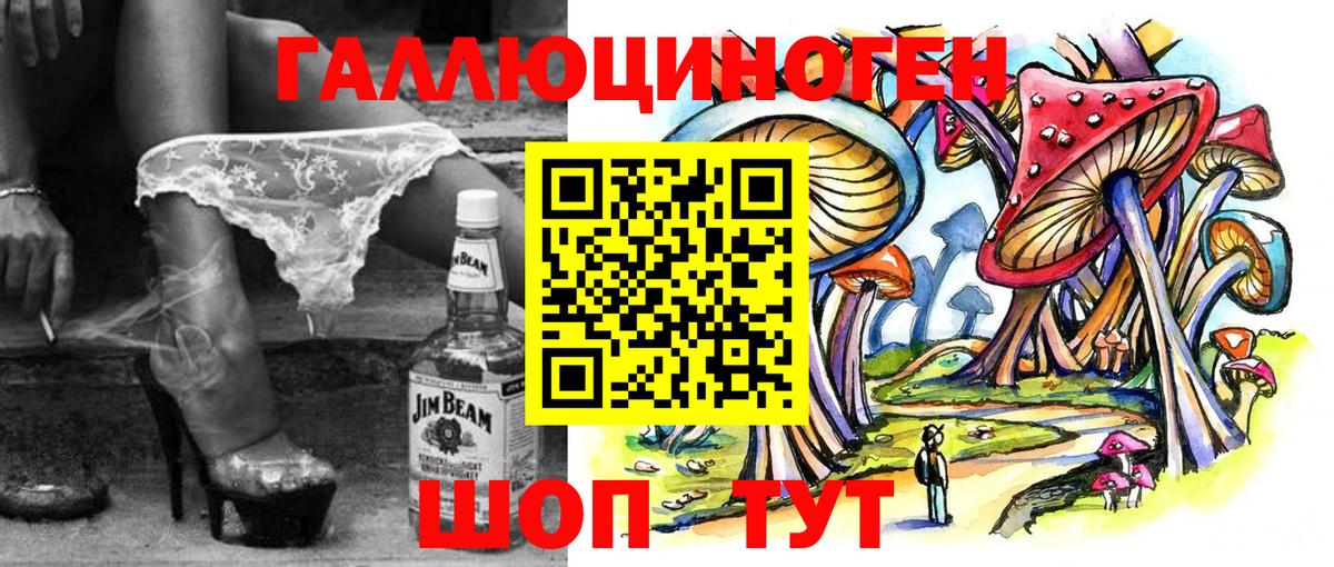 Псилоцибиновые грибы Psilocybine cubensis Нижнекамск